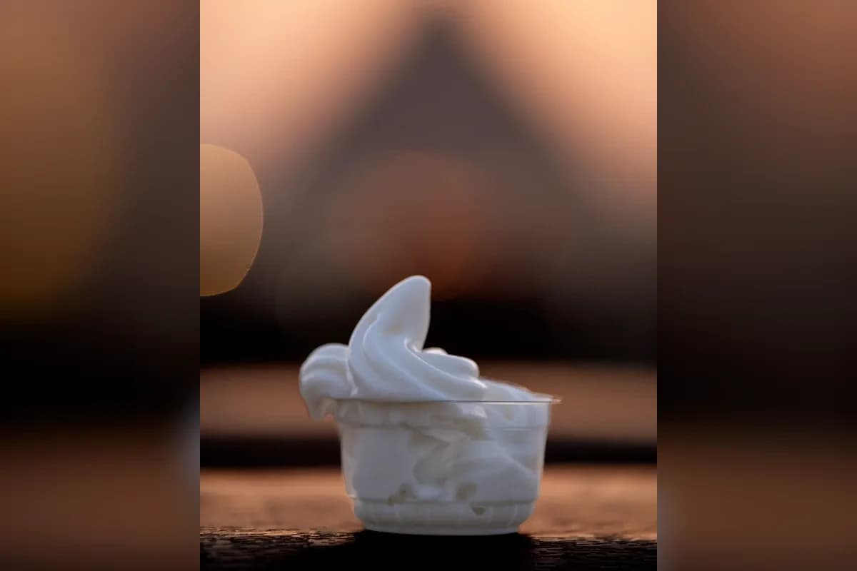 The pure pleasure of camel milk ice cream